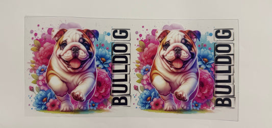 Bulldog