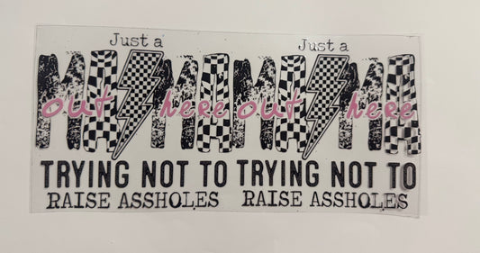 Trying Not to Raise Assholes
