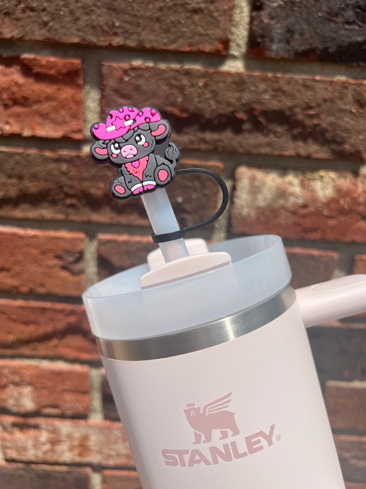 Printed Straw Toppers