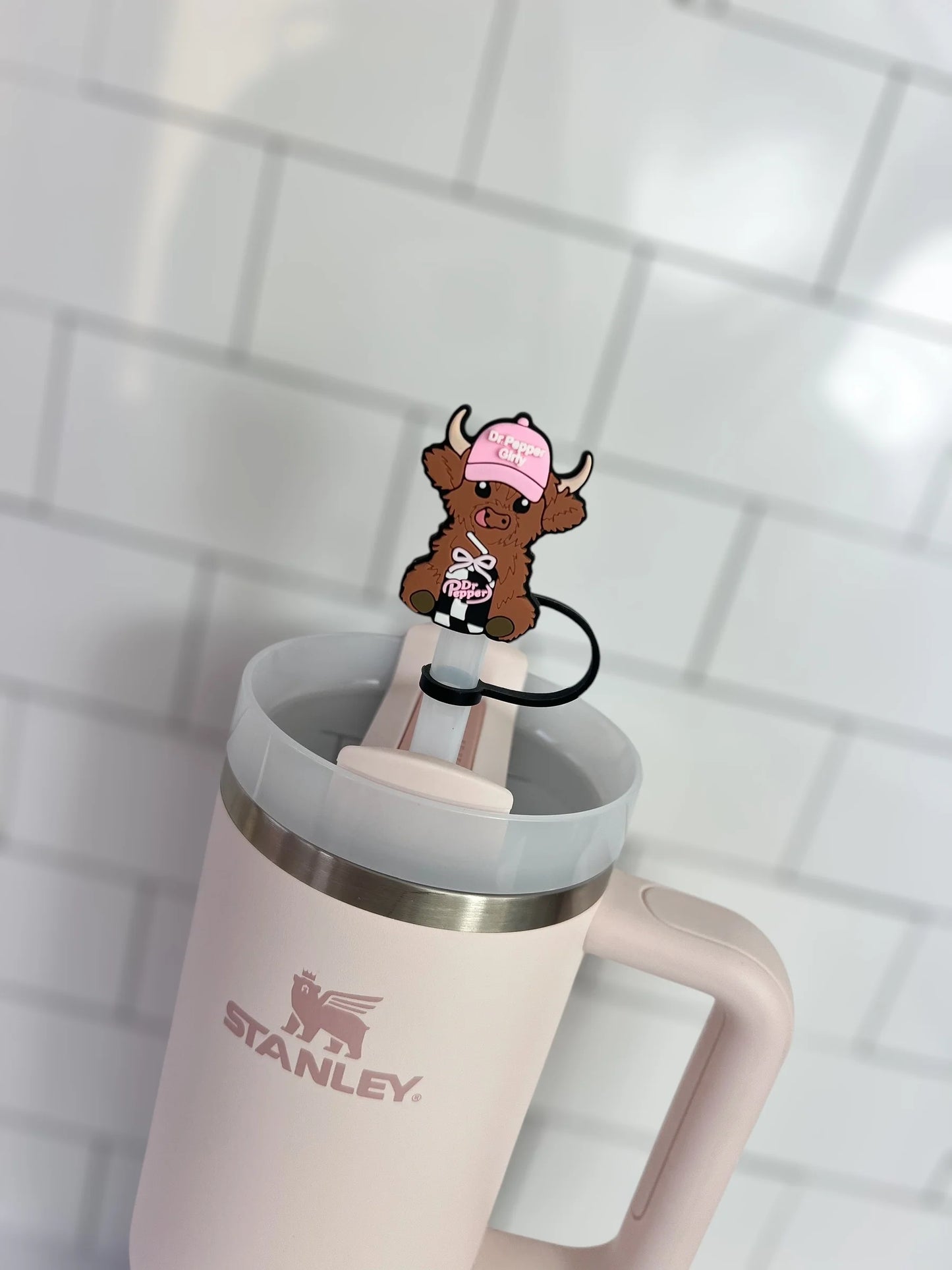 Printed Straw Toppers