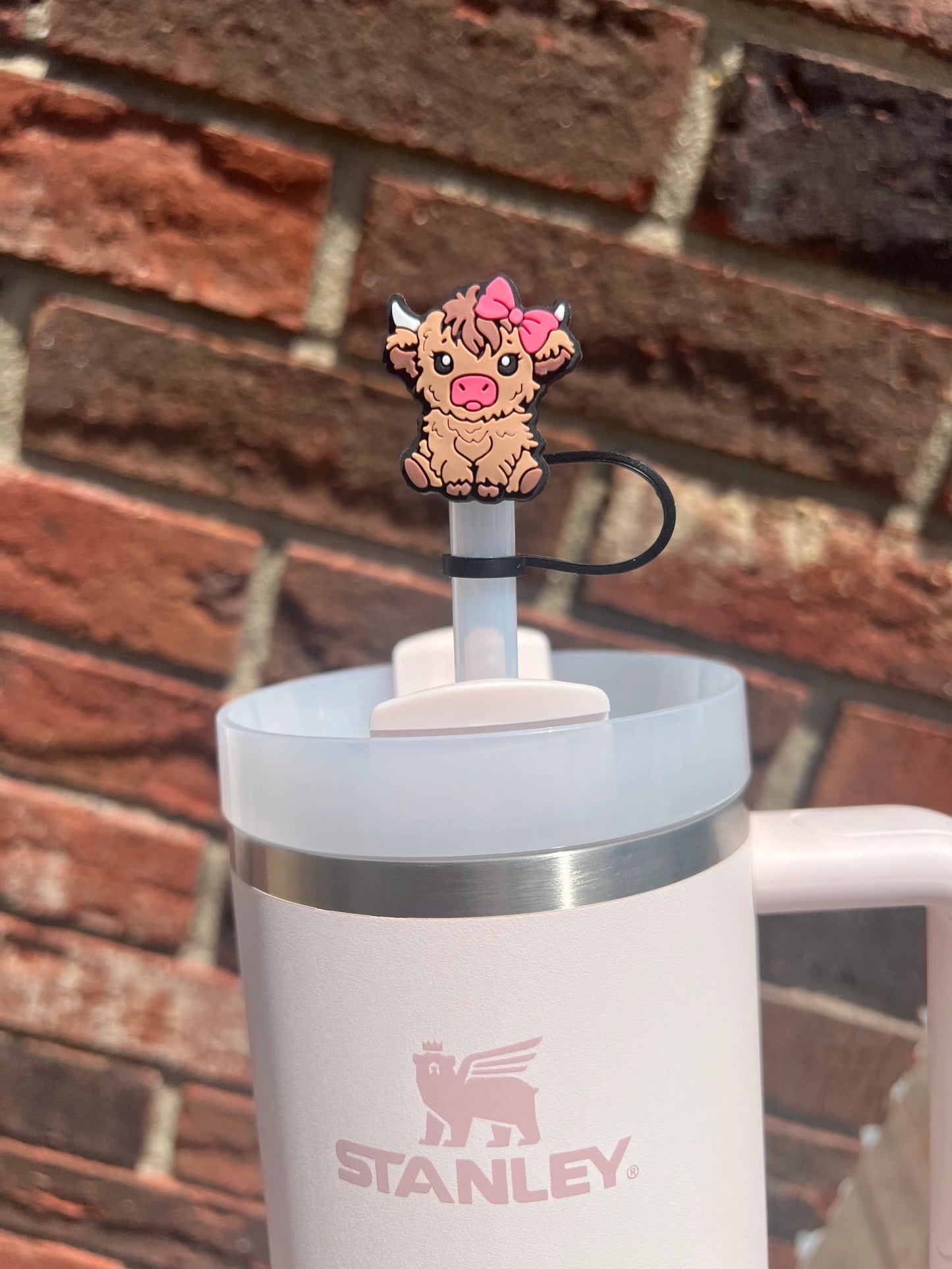 Printed Straw Toppers
