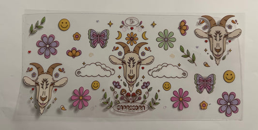 Capricorn