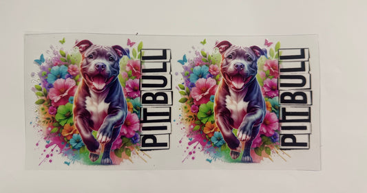 Pitbull