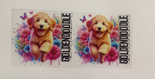 Golden Doodle