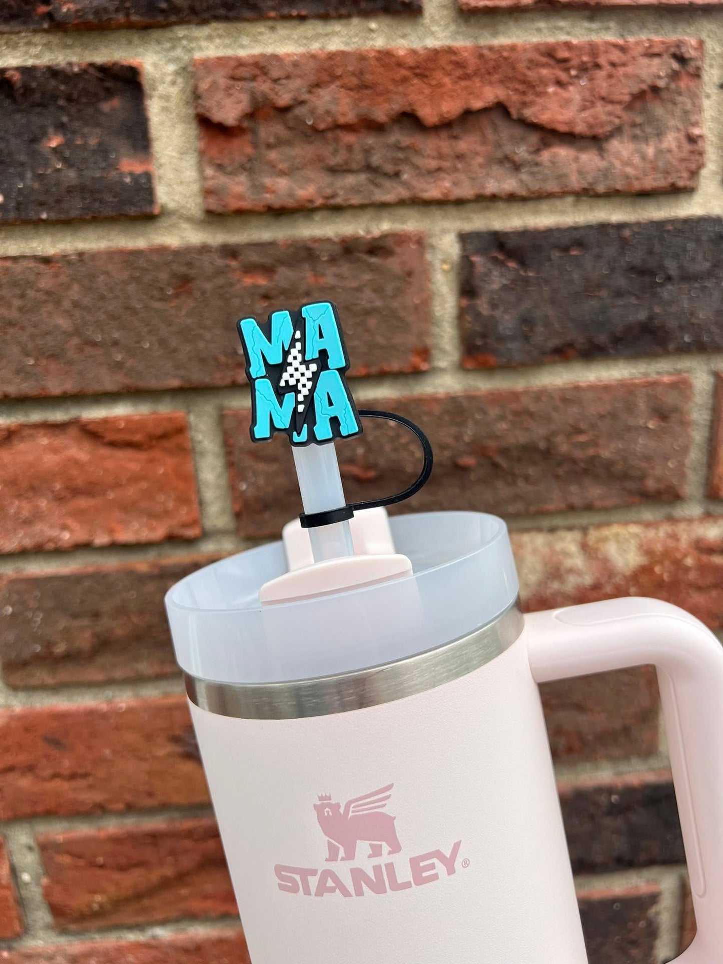 Printed Straw Toppers