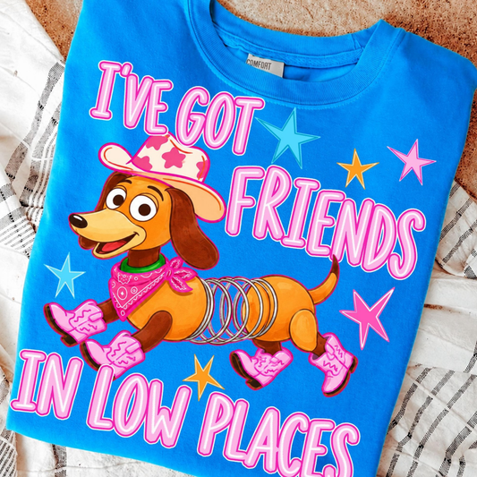 I've Got Friends In Low Places