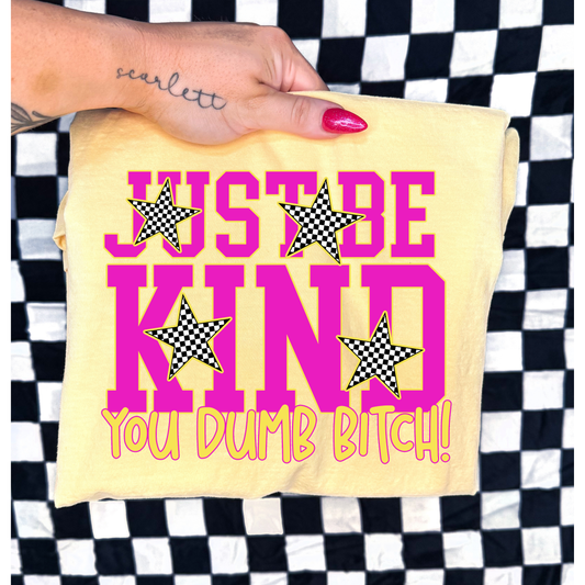 Just Be Kind You Dumb B